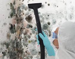 Best Industrial Mold Remediation in Portland, TN